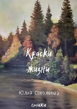 Юлия Соколкова Краски жизни обложка книги