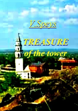 V. Speys Treasure of the tower обложка книги