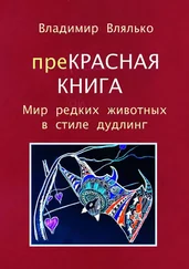 Владимир Влялько - преКРАСНАЯ КНИГА. Мир редких животных в стиле дудлинг