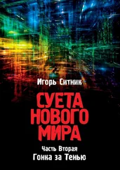 Игорь Ситник - Суета Нового Мира. Часть Вторая. Гонка за Тенью