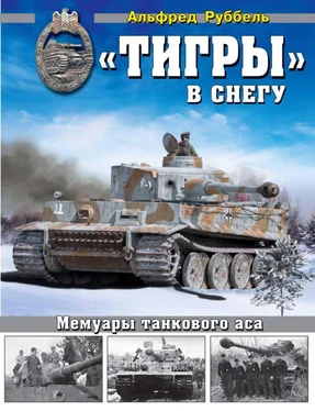 Альфред Руббель «Тигры» в снегу обложка книги