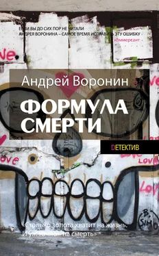 Андрей Воронин Слепой. Формула смерти обложка книги