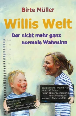 Birte Müller Willis Welt обложка книги