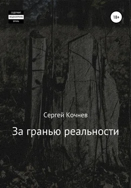 Сергей Кочнев За гранью реальности обложка книги