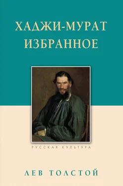 Лев Толстой Хаджи-Мурат. Избранное обложка книги