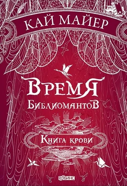Кай Майер Время библиомантов. Книга крови обложка книги