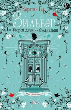 Керстин Гир Зильбер. Второй дневник сновидений обложка книги