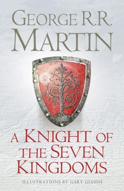 George Martin A Knight of the Seven Kingdoms обложка книги
