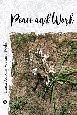 Luisa Aurora Viviana Rodal Peace and work обложка книги