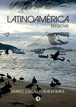 Mario Diego Peralta Latinoaméroca en gotas обложка книги