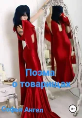 Софья Ангел - Поэма о товарищах