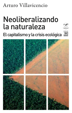 Arturo Villavicencio Neoliberalizando la naturaleza обложка книги