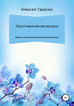 Алексей Тарасюк Христианская випассана: практика медитации на основе молитвы Господней обложка книги