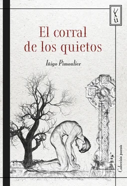 Iñigo Pimoulier El corral de los quietos обложка книги