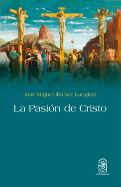 José Miguel Ibáñez La pasión de Cristo обложка книги