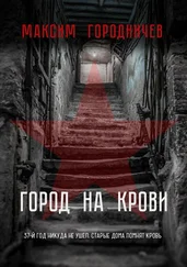 Максим Городничев - Город на крови