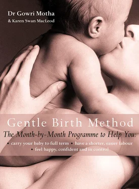 Karen MacLeod The Gentle Birth Method: The Month-by-Month Jeyarani Way Programme обложка книги