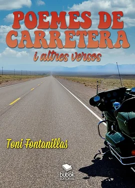 Toni Fontanillas Poemes de carretera i altres versos обложка книги