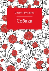 Сергей Туманов - Собака