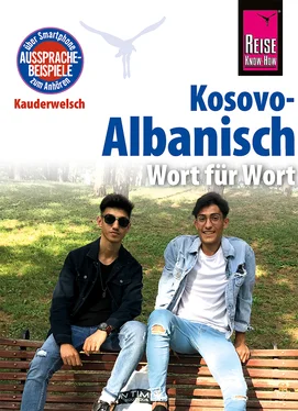 Wolfgang Koeth Kosovo-Albanisch - Wort für Wort: Kauderwelsch-Sprachführer von Reise Know-How обложка книги