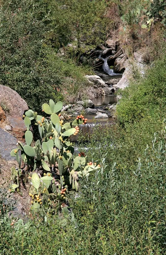 Grüne Oase der Río Nechite oberhalb von Ugíjar Das Städtchen nur mehr knapp - фото 71