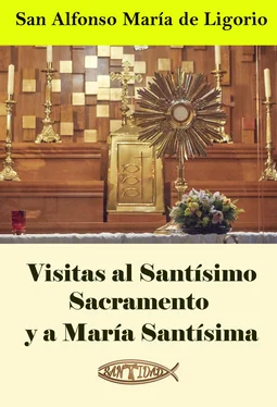 San Alfonso María de Ligorio Visitas al Santísimo Sacramento y a María Santísima обложка книги