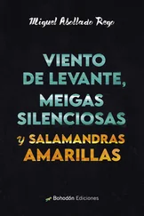 Miguel Abollado Rego - Viento de levante, meigas silenciosas y salamandras amarillas