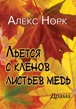 Алекс Норк Льется с кленов листьев медь обложка книги