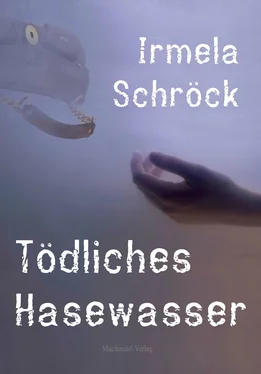 Irmela Schröck Tödliches Hasewasser обложка книги