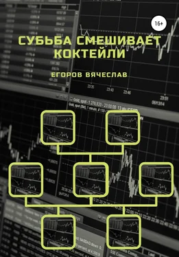 Вячеслав Егоров Судьба смешивает коктейли обложка книги