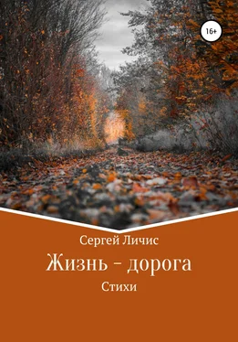Сергей Личис Жизнь – дорога обложка книги