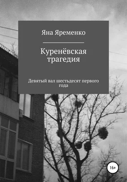 Яна Яременко Куренёвская трагедия. Девятый вал шестьдесят первого года обложка книги