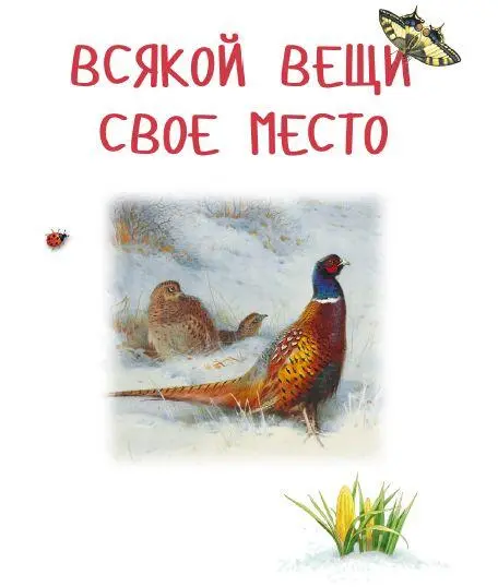 Константин Ушинский Всякой вещи свое место Детский мир Отдел I Первое - фото 1