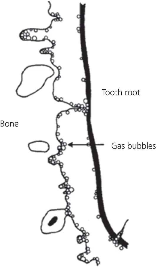 Figure 218 The lodgment of minute gas bubbles at small radii of curvature The - фото 40