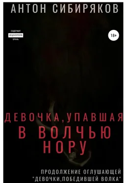 Антон Сибиряков Девочка, упавшая в волчью нору обложка книги