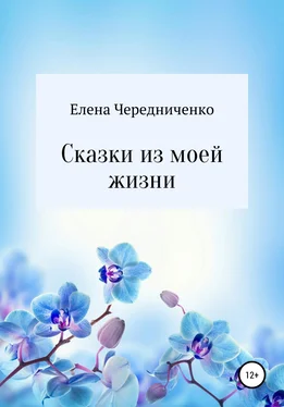 Елена Чередниченко Сказки из моей жизни обложка книги
