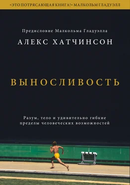 Алекс Хатчинсон Выносливость. Разум, тело и удивительно гибкие пределы человеческих возможностей обложка книги