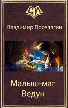 Владимир Поселягин Ведун обложка книги