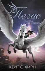 Кейт О'Хирн - Пегас. Битва за Олимп