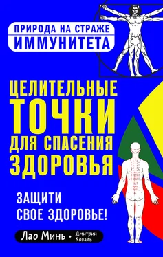 Дмитрий Коваль Целительные точки для спасения здоровья обложка книги