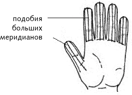 Рис 3 а Бельмеридианы ладони Воздействие на короткие и легкодоступные - фото 10