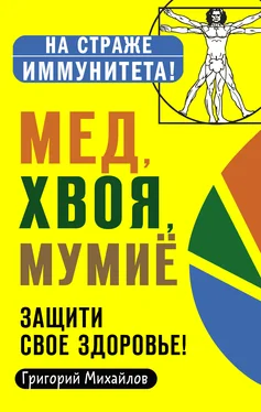 Григорий Михайлов Мед, хвоя, мумиё. Защити свое здоровье! обложка книги