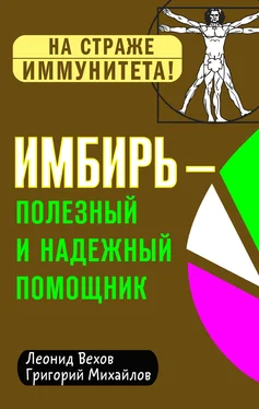 Леонид Вехов Имбирь – полезный и надежный помощник обложка книги