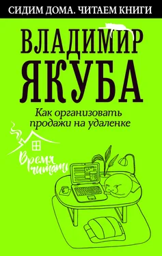 Владимир Якуба Как организовать продажи на удаленке обложка книги