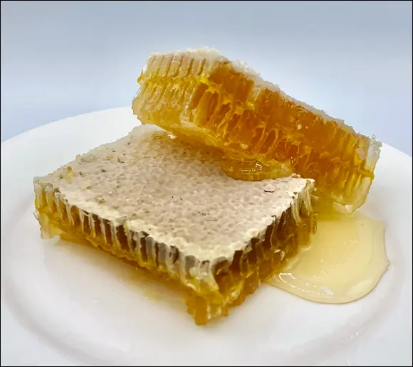 Photo by Howland Blackiston FIGURE 31This is beautiful natural honeycomb - фото 32