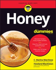 Howland Blackiston - Honey For Dummies
