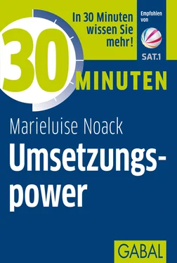 Marieluise Noack 30 Minuten Umsetzungspower обложка книги