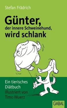 Stefan Frädrich Günter, der innere Schweinehund, wird schlank обложка книги