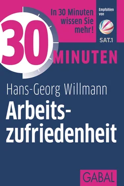 Hans-Georg Willmann 30 Minuten Arbeitszufriedenheit обложка книги