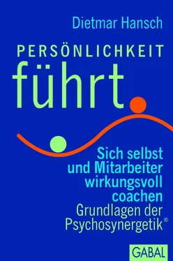 Dietmar Hansch Persönlichkeit führt обложка книги